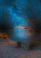 Autumn evening and bench